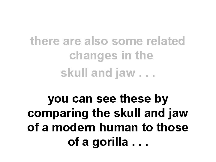 there also some related changes in the skull and jaw. . . you can