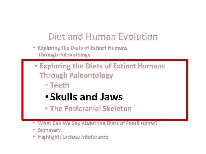 Diet and Human Evolution • Exploring the Diets of Extinct Humans Through Paleontology •