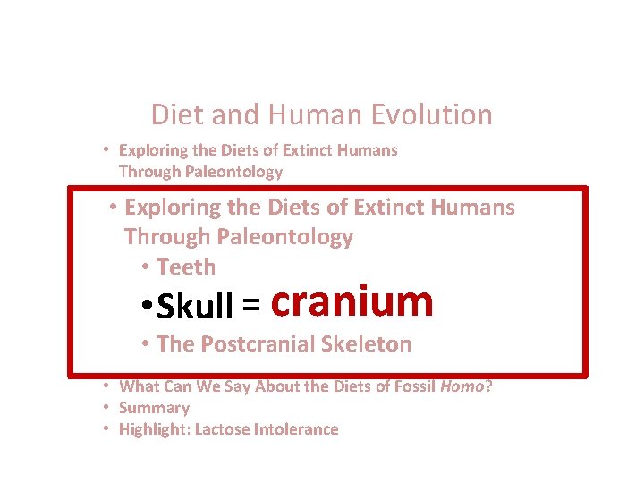 Diet and Human Evolution • Exploring the Diets of Extinct Humans Through Paleontology •