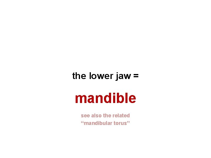 the lower jaw = mandible see also the related “mandibular torus” 