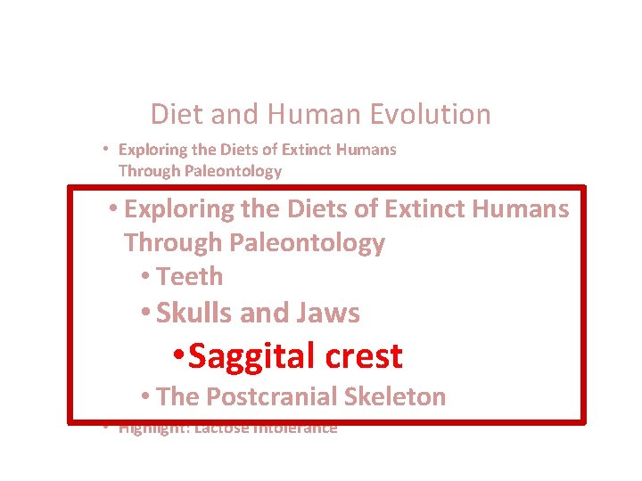 Diet and Human Evolution • Exploring the Diets of Extinct Humans Through Paleontology •