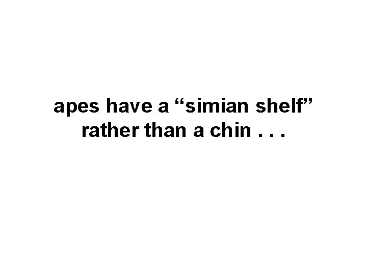 apes have a “simian shelf” rather than a chin. . . in humans lower