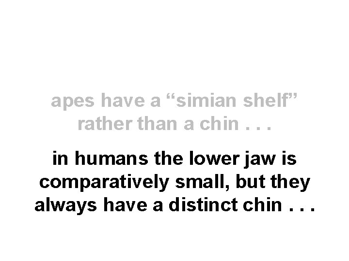 apes have a “simian shelf” rather than a chin. . . in humans the