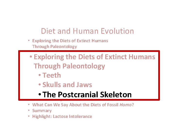 Diet and Human Evolution • Exploring the Diets of Extinct Humans Through Paleontology •