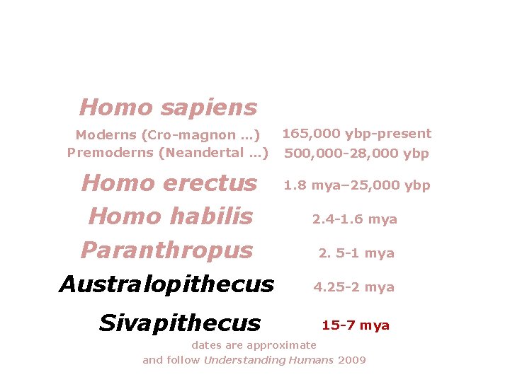 Homo sapiens Moderns (Cro-magnon …) Premoderns (Neandertal …) Homo erectus Homo habilis Paranthropus Australopithecus