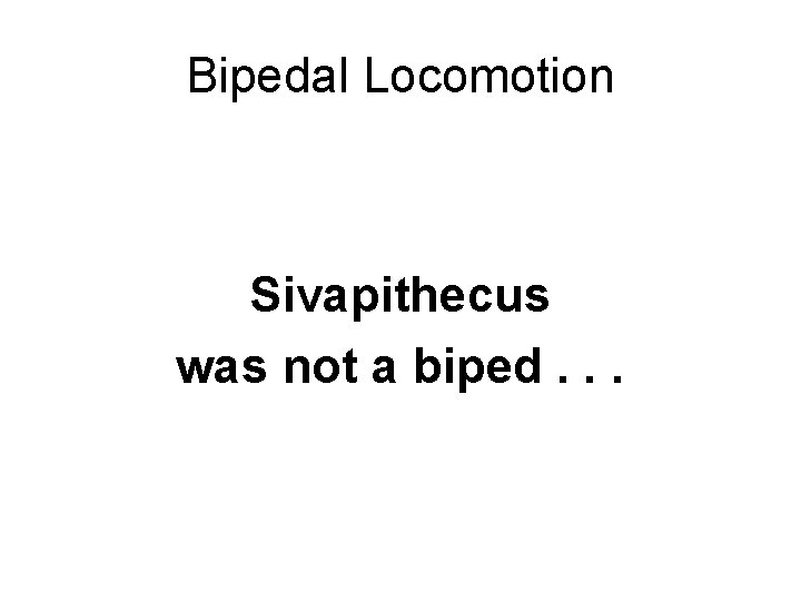 Bipedal Locomotion Sivapithecus was not a biped. . . 