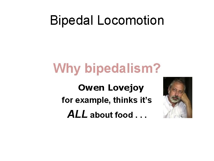 Bipedal Locomotion Why bipedalism? Owen Lovejoy for example, thinks it’s ALL about food. .