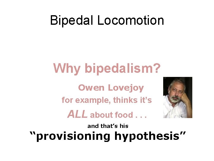 Bipedal Locomotion Why bipedalism? Owen Lovejoy for example, thinks it’s ALL about food. .