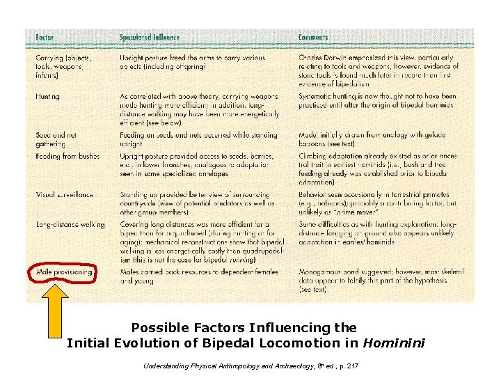 Possible Factors Influencing the Initial Evolution of Bipedal Locomotion in Hominini Understanding Physical Anthropology