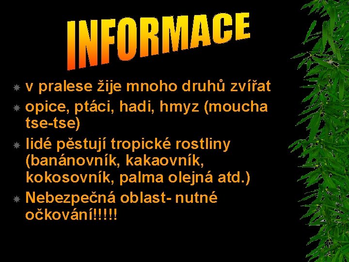 v pralese žije mnoho druhů zvířat opice, ptáci, hadi, hmyz (moucha tse-tse) lidé pěstují