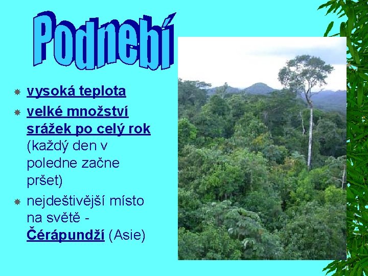  vysoká teplota velké množství srážek po celý rok (každý den v poledne začne