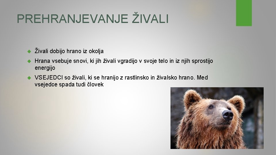 PREHRANJEVANJE ŽIVALI Živali dobijo hrano iz okolja Hrana vsebuje snovi, ki jih živali vgradijo