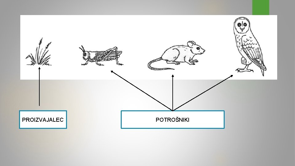 PROIZVAJALEC POTROŠNIKI 