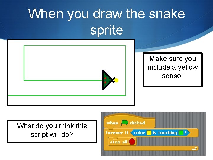 When you draw the snake sprite Make sure you include a yellow sensor What