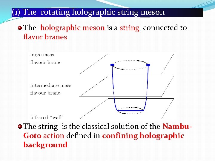 (1) The rotating holographic string meson The holographic meson is a string connected to