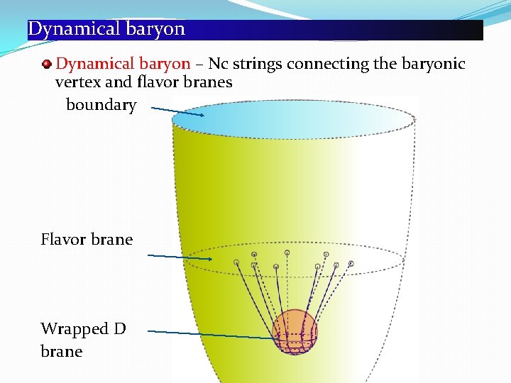 Dynamical baryon – Nc strings connecting the baryonic vertex and flavor branes boundary Flavor