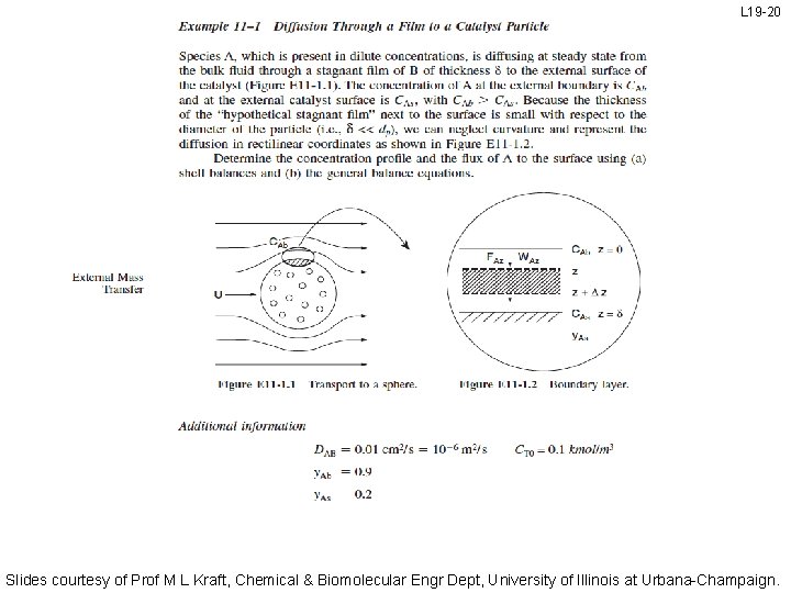 L 19 -20 Slides courtesy of Prof M L Kraft, Chemical & Biomolecular Engr