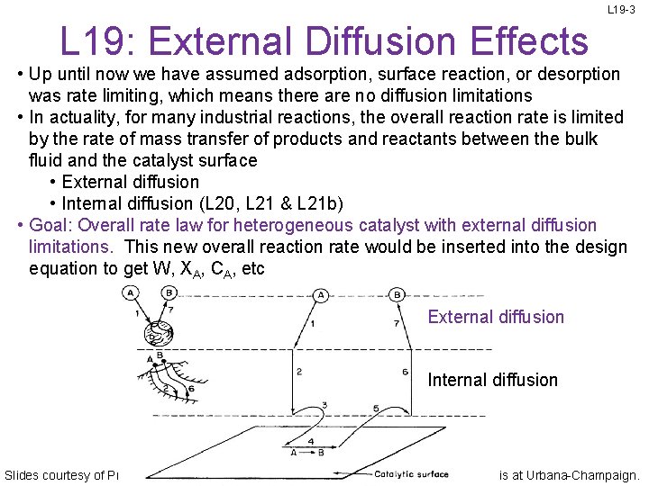 L 19 -3 L 19: External Diffusion Effects • Up until now we have