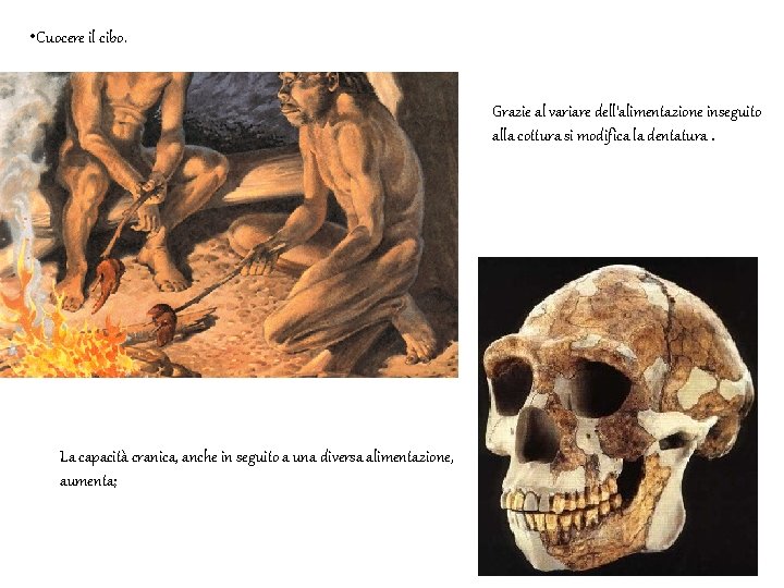  • Cuocere il cibo. Grazie al variare dell’alimentazione inseguito alla cottura si modifica