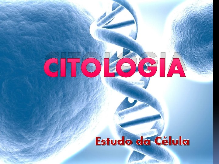 CITOLOGIA Estudo da Célula 