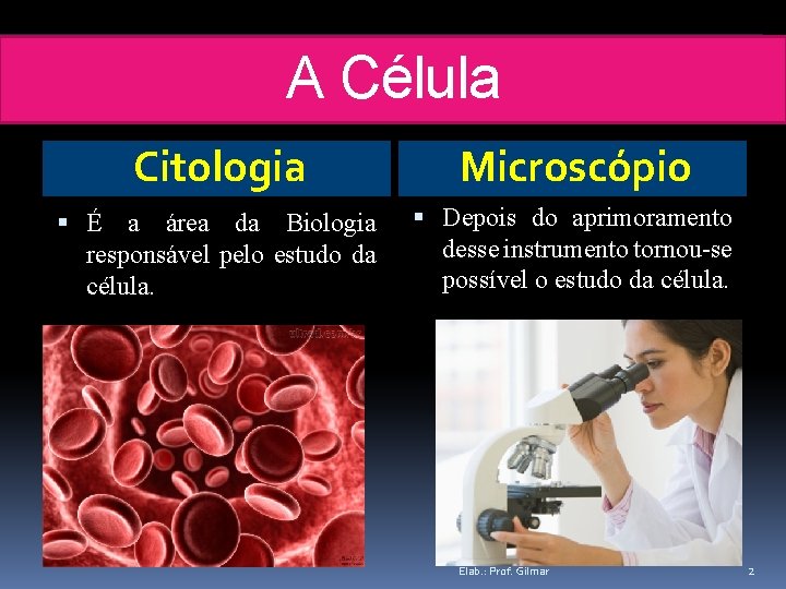 A Célula Citologia Microscópio É a área da Biologia responsável pelo estudo da célula.