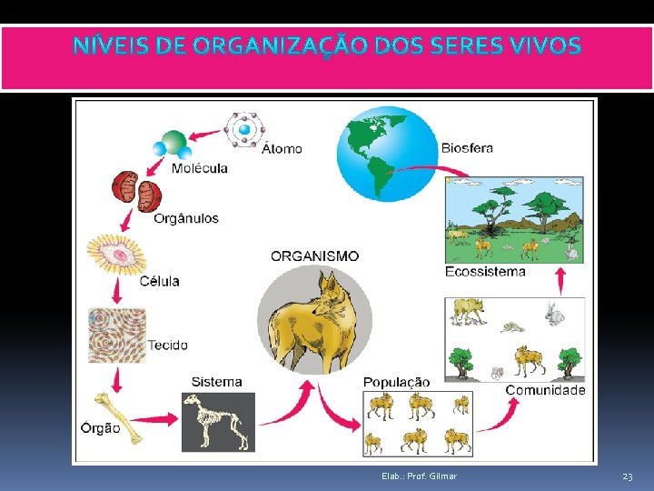 Elab. : Prof. Gilmar 23 