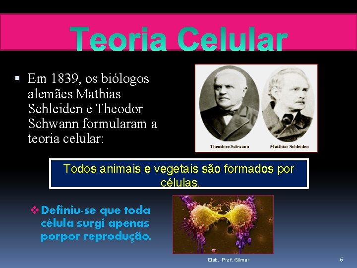  Em 1839, os biólogos alemães Mathias Schleiden e Theodor Schwann formularam a teoria