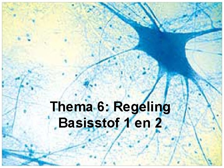 Thema 6: Regeling Basisstof 1 en 2 