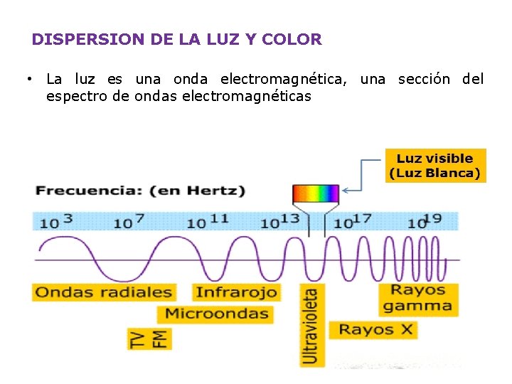 DISPERSION DE LA LUZ Y COLOR • La luz es una onda electromagnética, una