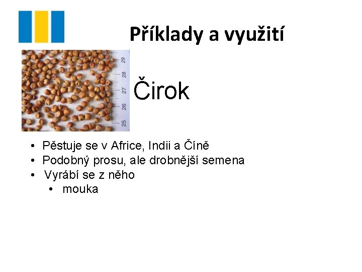 Příklady a využití Čirok • Pěstuje se v Africe, Indii a Číně • Podobný