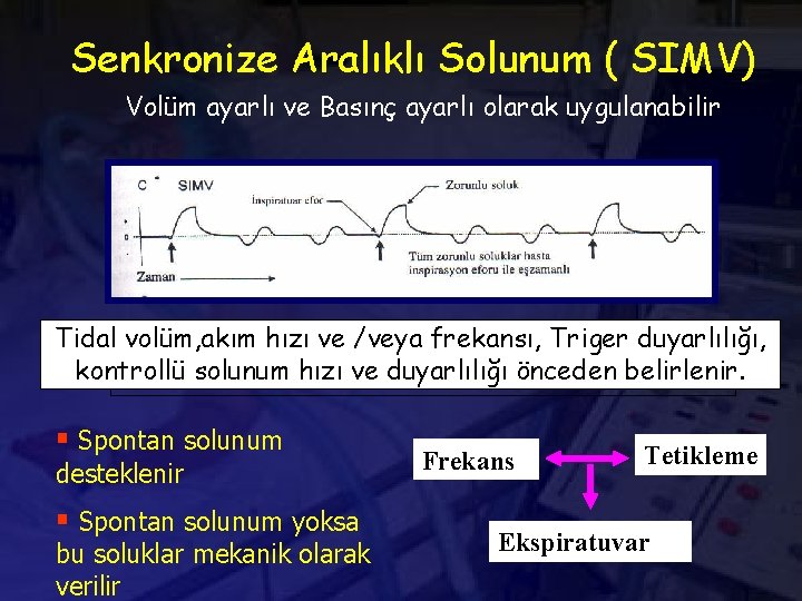 Senkronize Aralıklı Solunum ( SIMV) Volüm ayarlı ve Basınç ayarlı olarak uygulanabilir Tidal volüm,