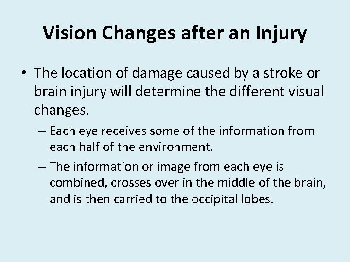 Vision Changes after an Injury • The location of damage caused by a stroke