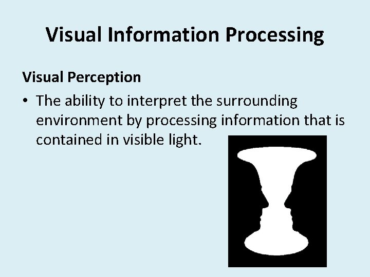 Visual Information Processing Visual Perception • The ability to interpret the surrounding environment by