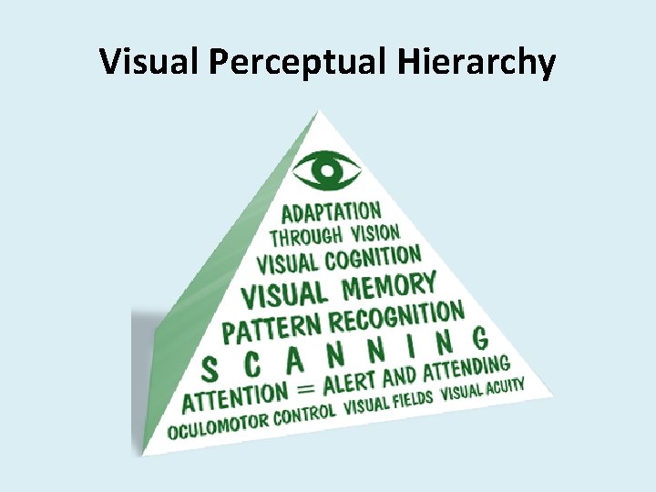 Visual Perceptual Hierarchy 