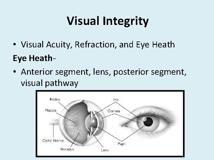 Visual Integrity • Visual Acuity, Refraction, and Eye Heath • Anterior segment, lens, posterior