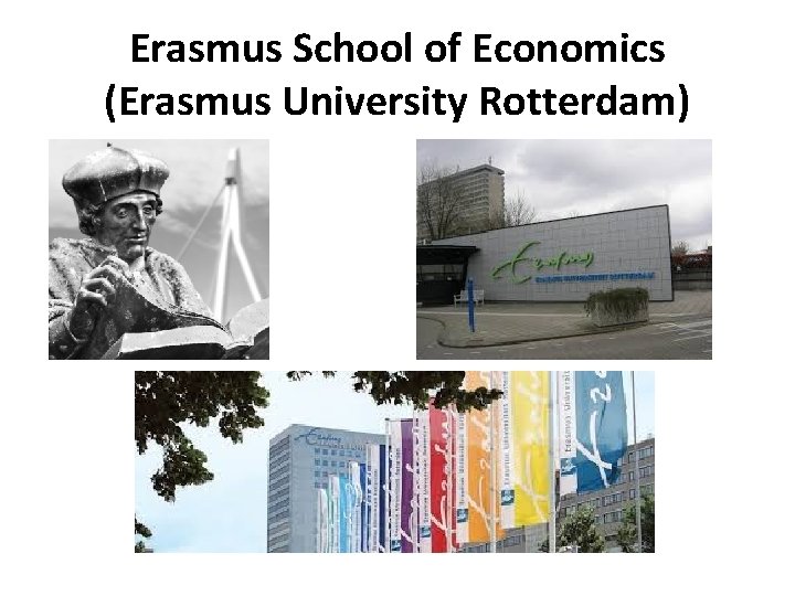 Erasmus School of Economics (Erasmus University Rotterdam) 