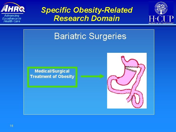 Advancing Excellence in Health Care Specific Obesity-Related Research Domain Bariatric Surgeries Medical/Surgical Treatment of