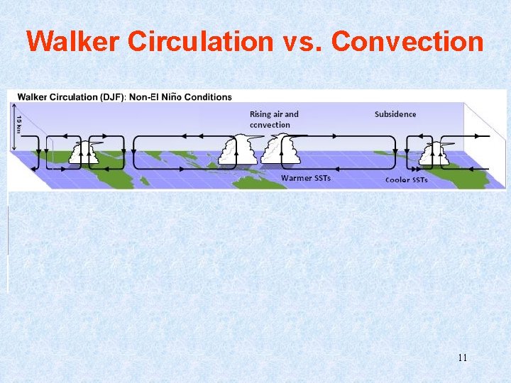 Walker Circulation vs. Convection (Anomaly field) 11 