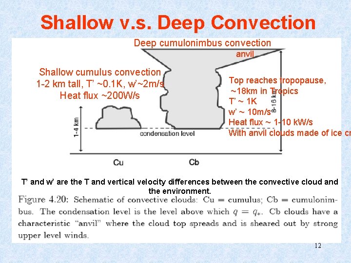 Shallow v. s. Deep Convection Deep cumulonimbus convection anvil Shallow cumulus convection 1 -2