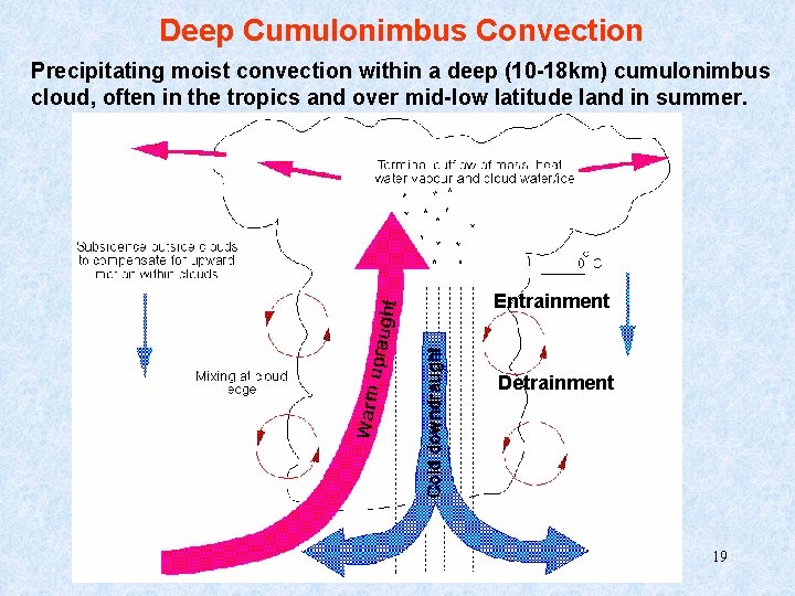 Deep Cumulonimbus Convection Precipitating moist convection within a deep (10 -18 km) cumulonimbus cloud,