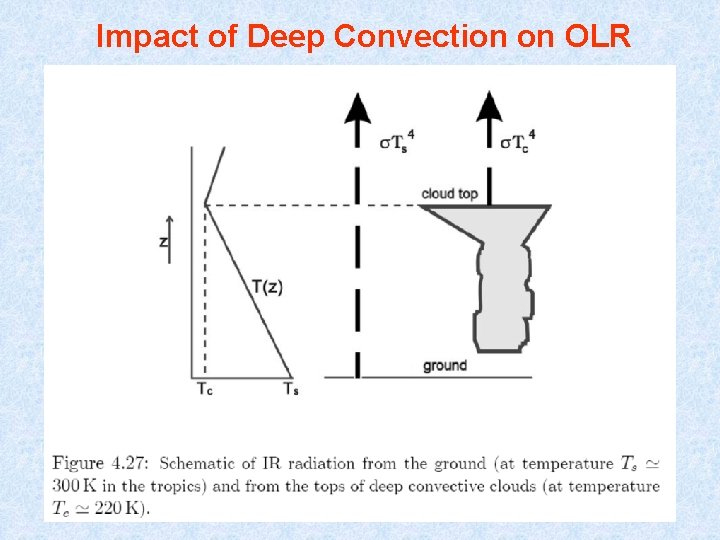 Impact of Deep Convection on OLR 