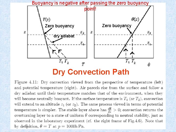 Buoyancy is negative after passing the zero buoyancy point! Zero buoyancy dry adiabat Dry