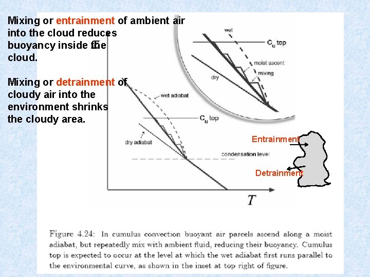 Mixing or entrainment of ambient air into the cloud reduces buoyancy inside the cloud.