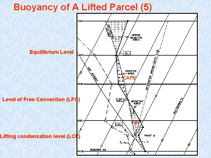 Buoyancy of A Lifted Parcel (5) Equilibrium Level CAPE Level of Free Convection (LFC)