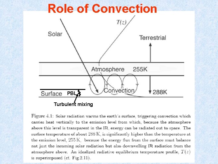 Role of Convection PBL Turbulent mixing 