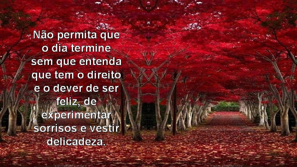 Não permita que o dia termine sem que entenda que tem o direito e