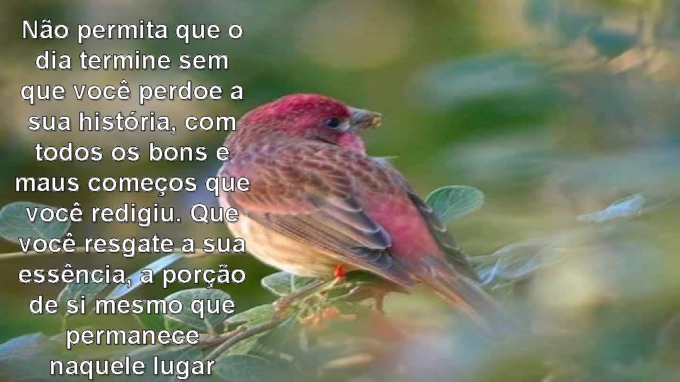 Não permita que o dia termine sem que você perdoe a sua história, com