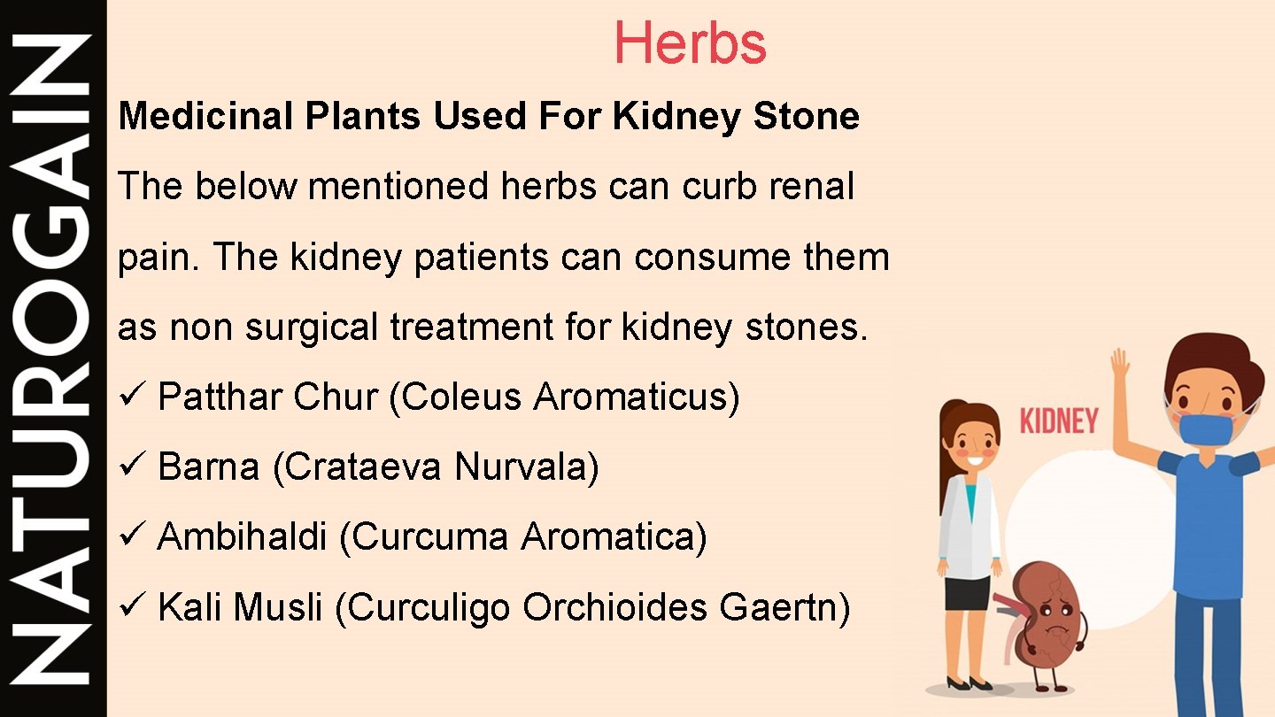 Herbs Medicinal Plants Used For Kidney Stone The below mentioned herbs can curb renal