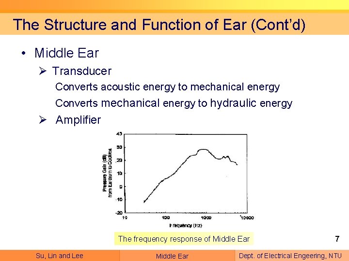 The Structure and Function of Ear (Cont’d) • Middle Ear Ø Transducer Converts acoustic