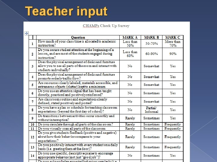 Teacher input 